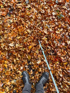 Looking down at my feet as I'm stood in the crisp auburn autumn leaves. I have my guide cane at the side of me. I took out all the colour from my shoes and jeans. So they are black and grey. Shot on iPhone.