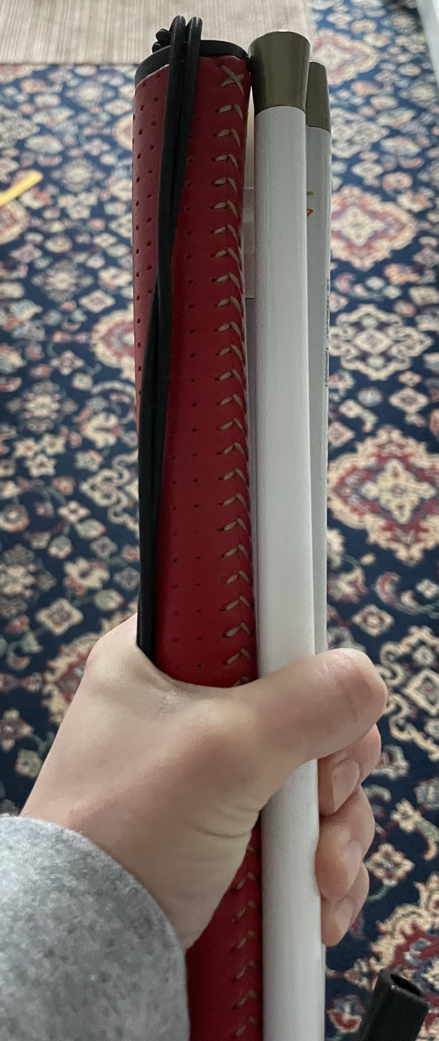 My new long cane held in my left hand, it has a red handle.